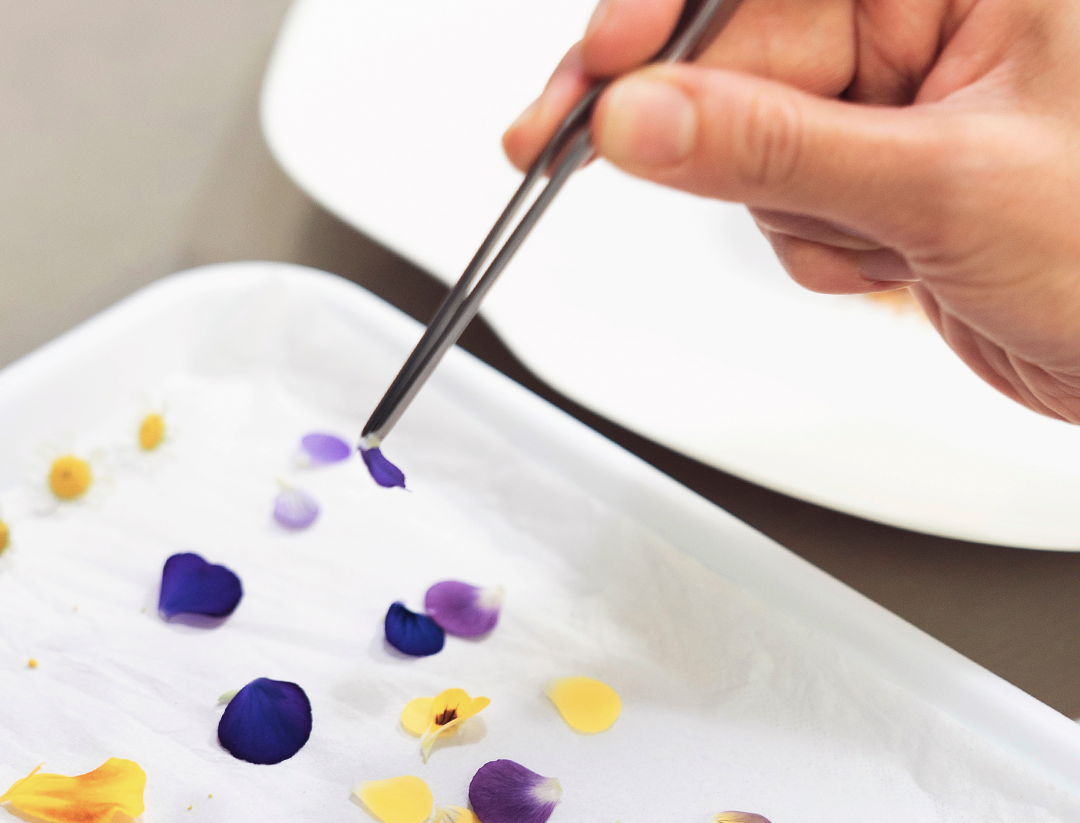 carosello_mon_3_cell